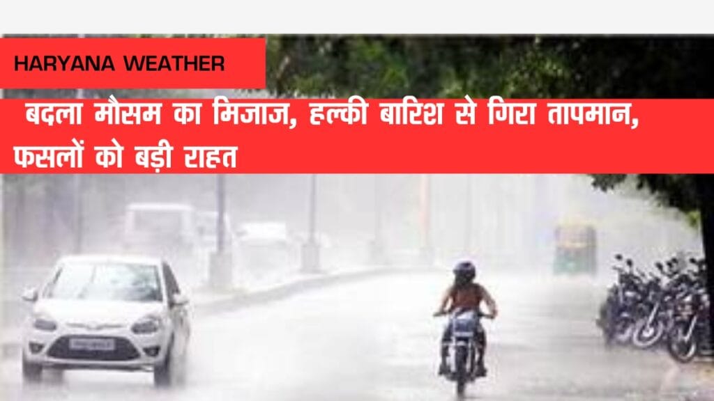 Haryana Weather